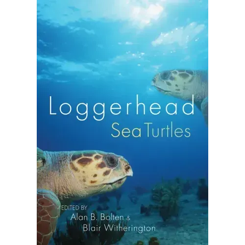 Loggerhead Sea Turtles
