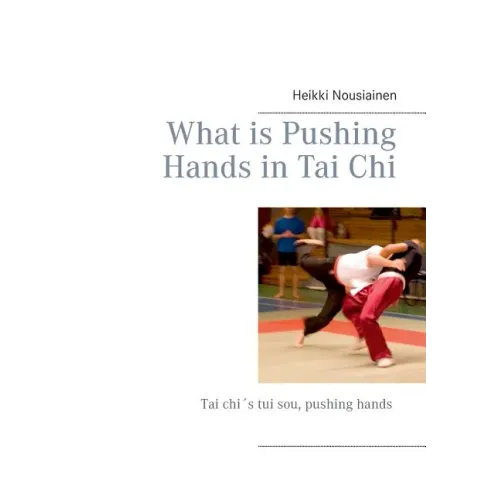 What is Pushing Hands in Tai Chi