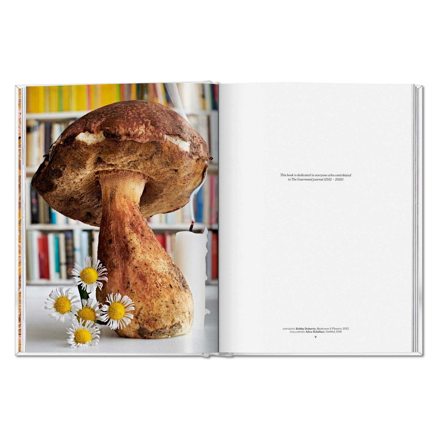 The Gourmand's Mushroom. A Collection of Stories and Recipes (English) Book