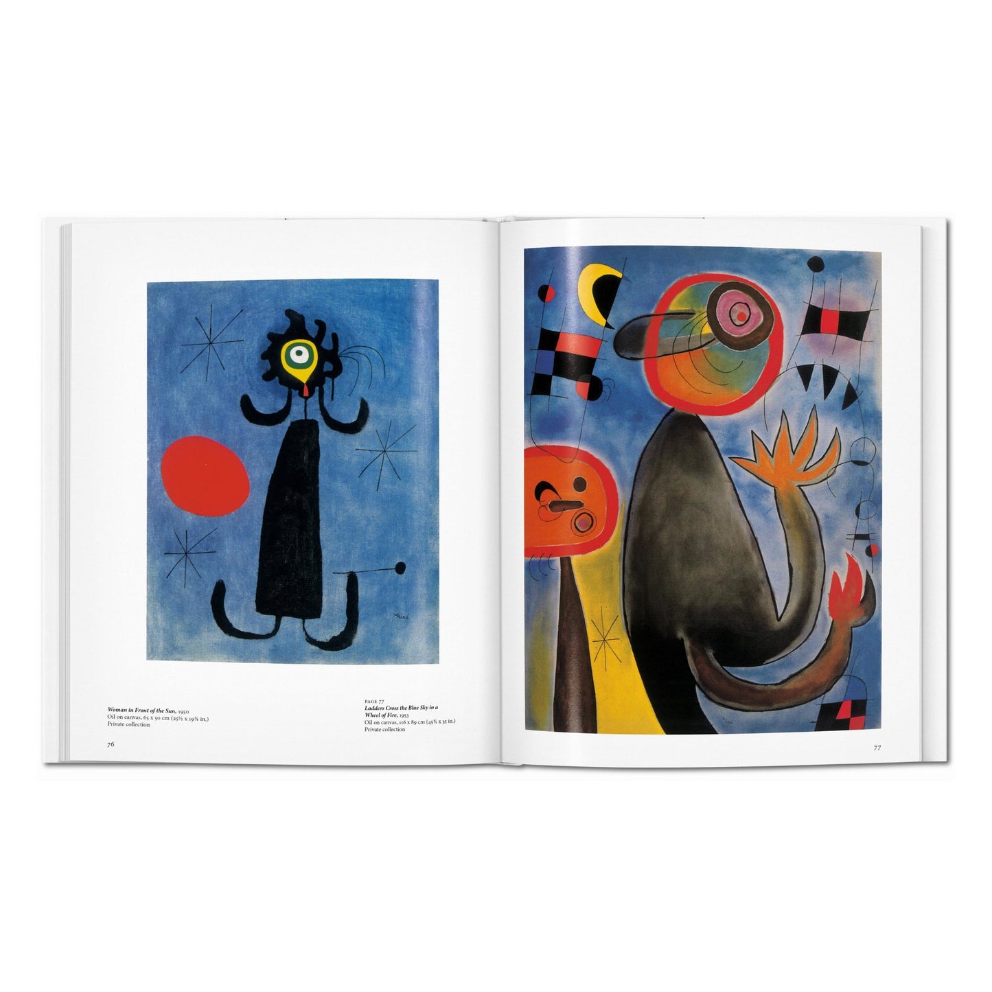 Miró (English) Book