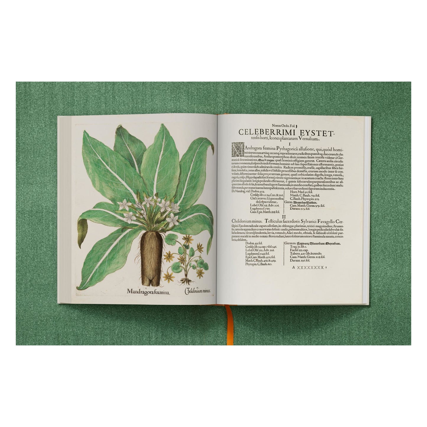 Basilius Besler. The Garden at Eichstätt (German, French, English) (FFE) Book