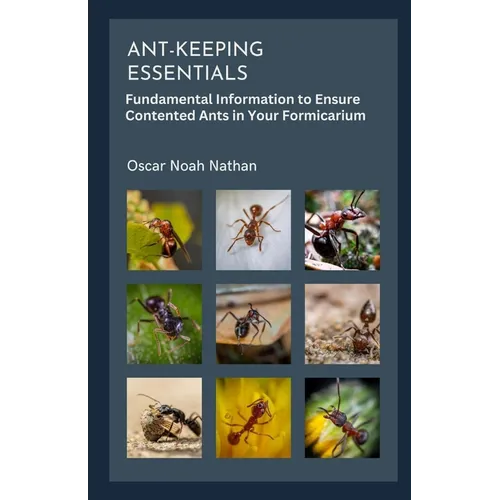 Ant-keeping Essentials: Fundamental Information to Ensure Contented Ants in Your Formicarium