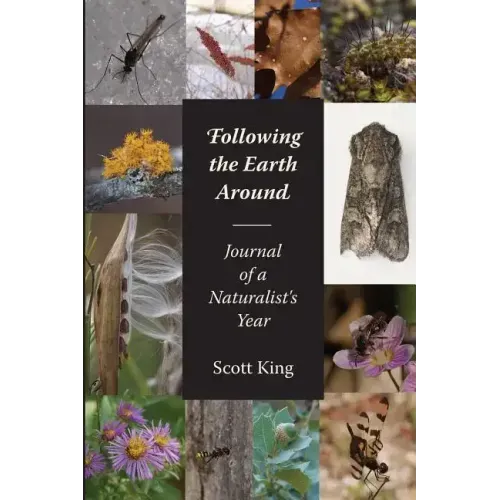 Following the Earth Around
