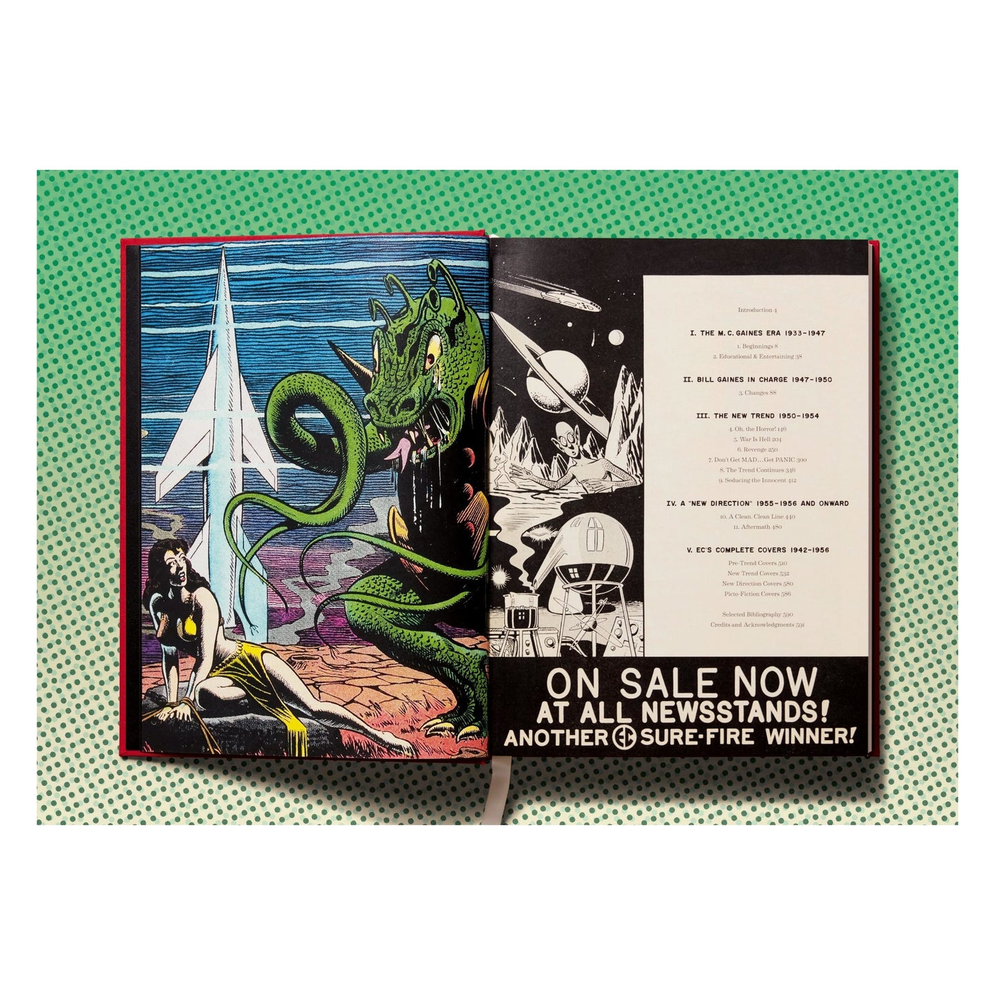 The History of EC Comics (English) Book
