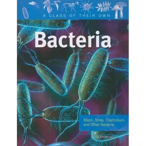Bacteria: Staph, Strep, Clostridium, and Other Bacteria