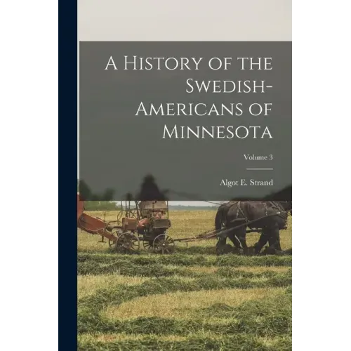 A History of the Swedish-Americans of Minnesota; Volume 3
