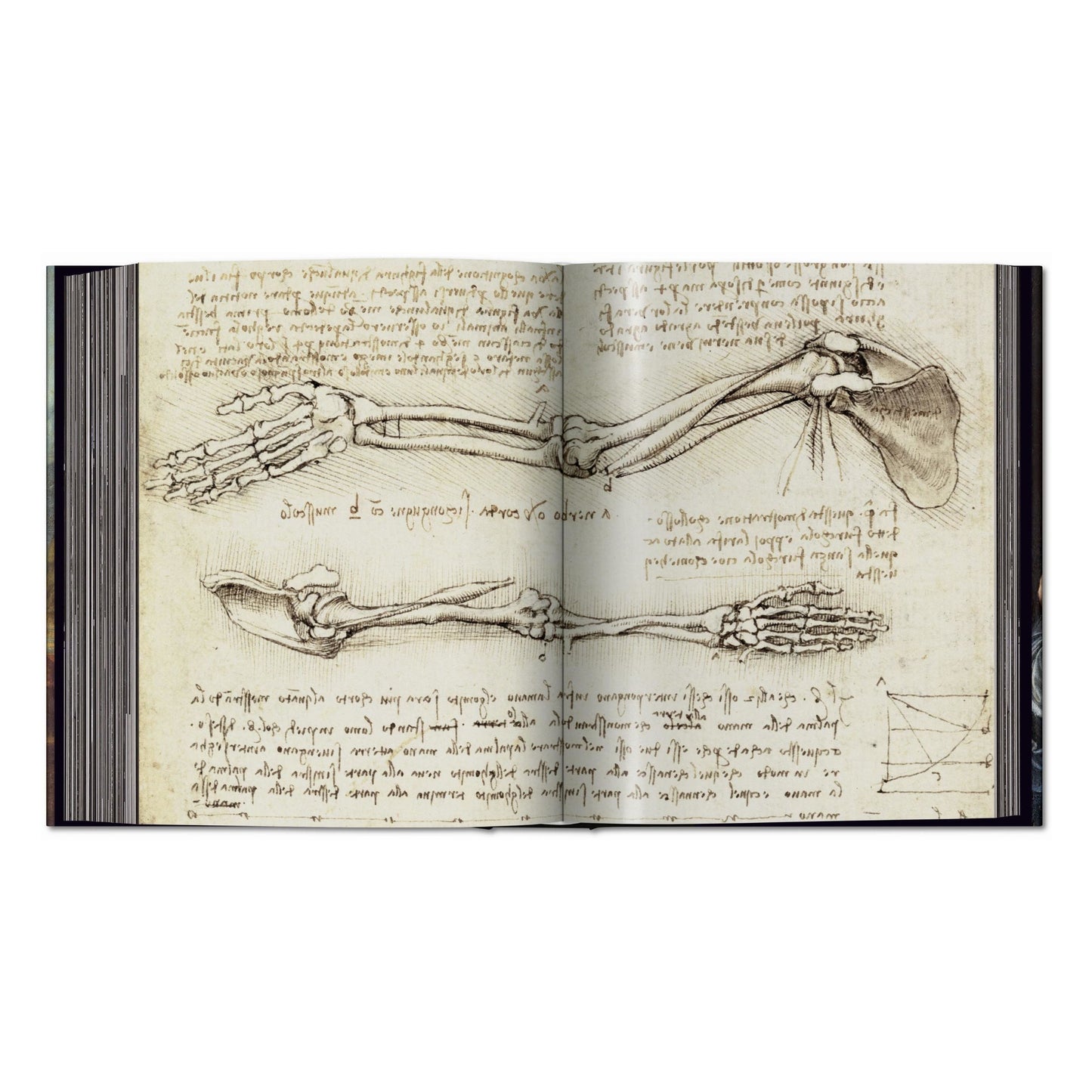 Leonardo. The Complete Paintings and Drawings (English) Book