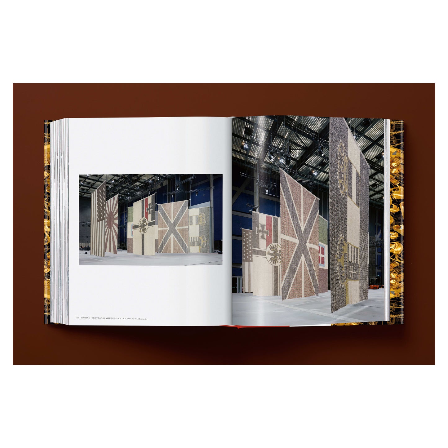Ai Weiwei. Updated Edition (German, French, English) Book