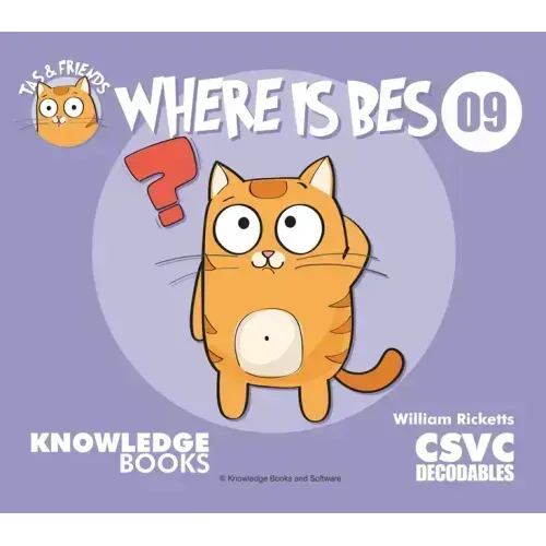 Where Is Bes?: Book 9