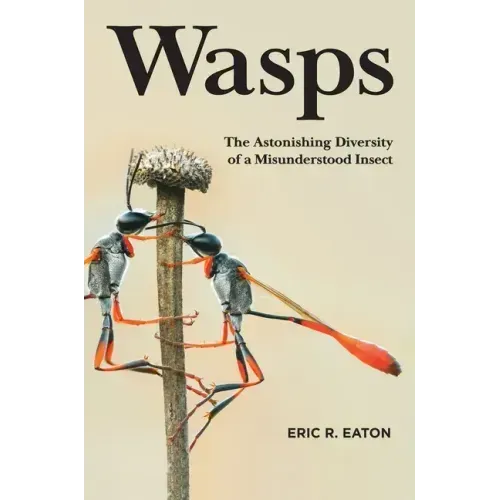 Wasps: The Astonishing Diversity of a Misunderstood Insect