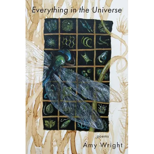 Everything in the Universe