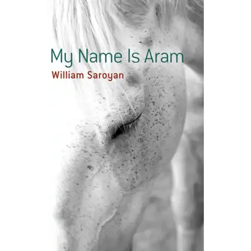 My Name Is Aram