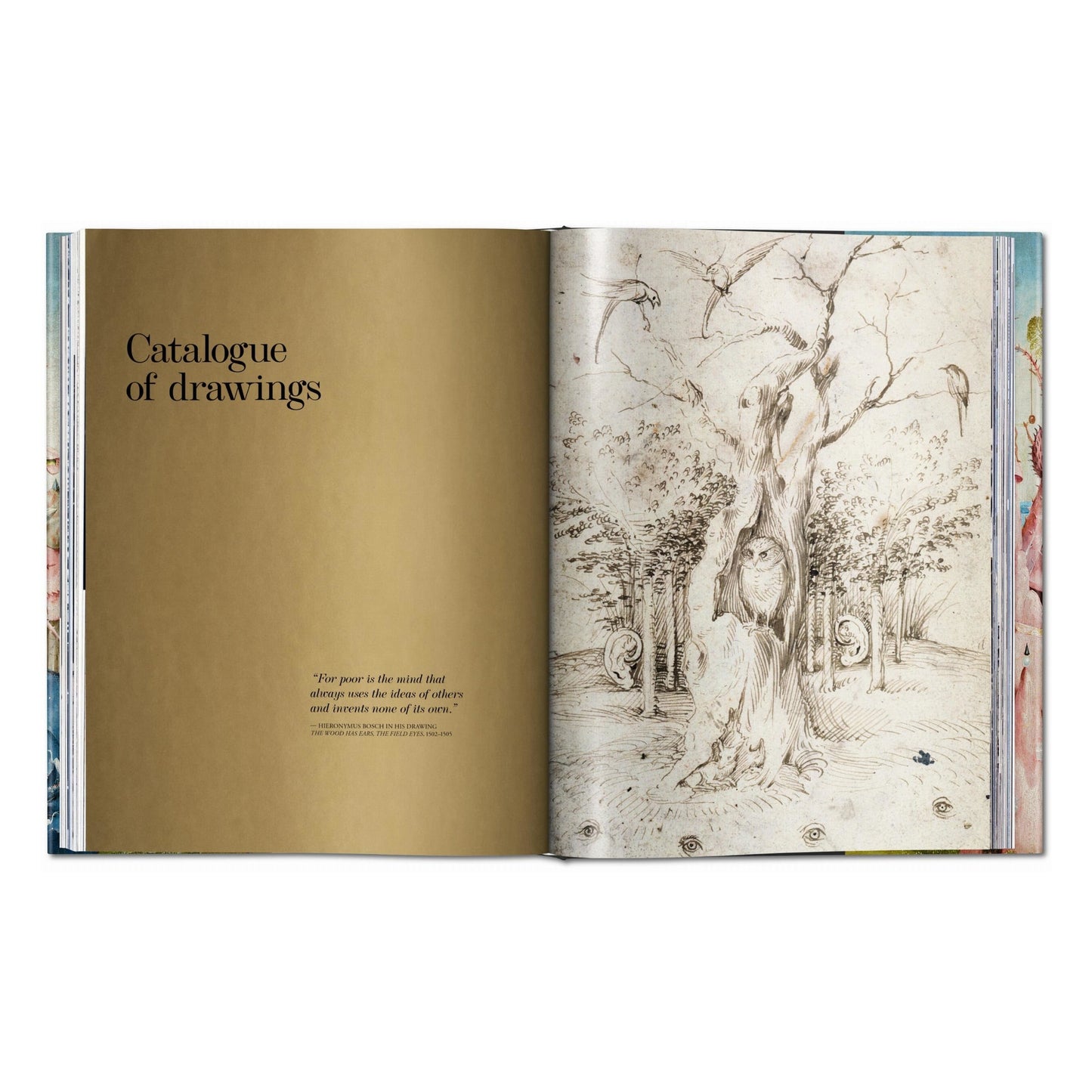 Hieronymus Bosch. The Complete Works (English) Book