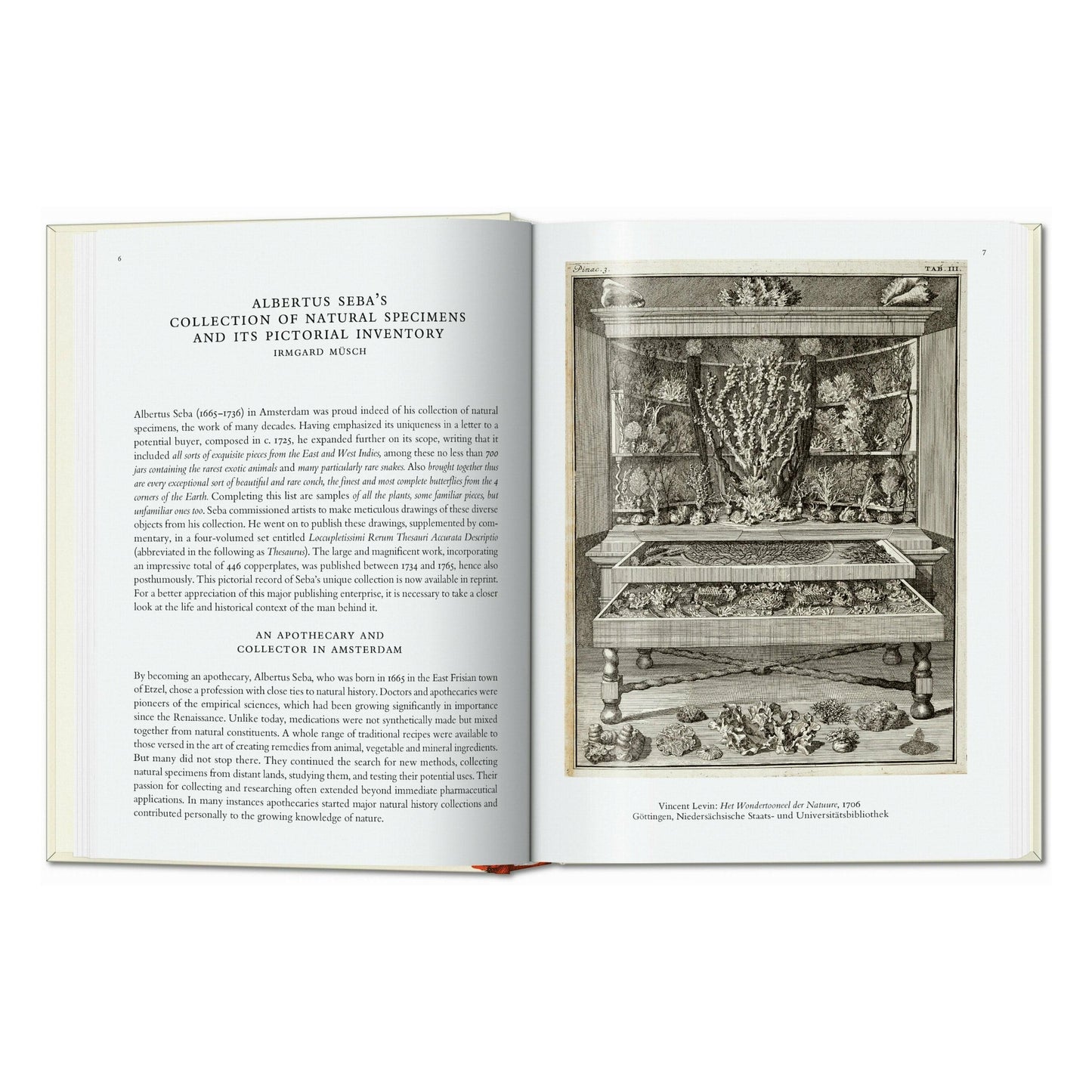 Seba. Cabinet of Natural Curiosities. 45th Ed. (German, French, English) Book