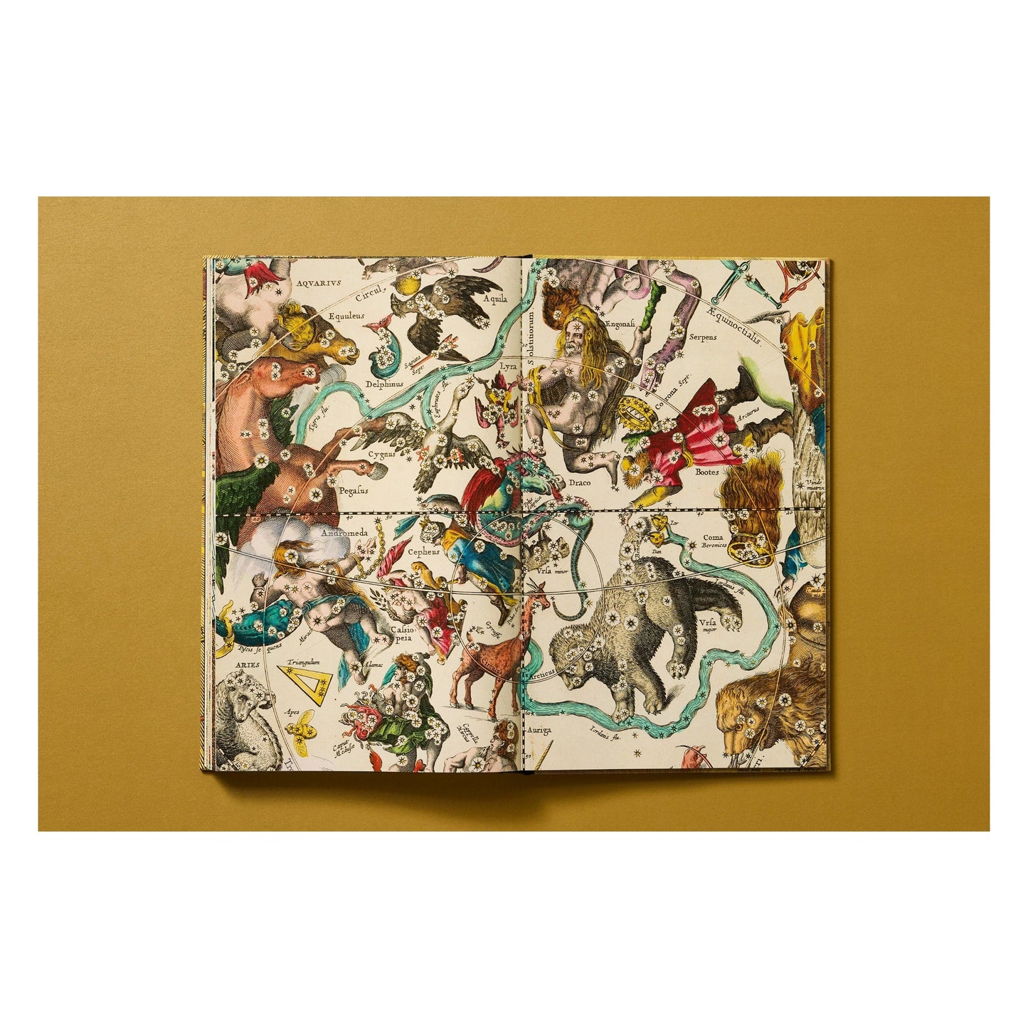 Cellarius Atlas (German, French, English) Book