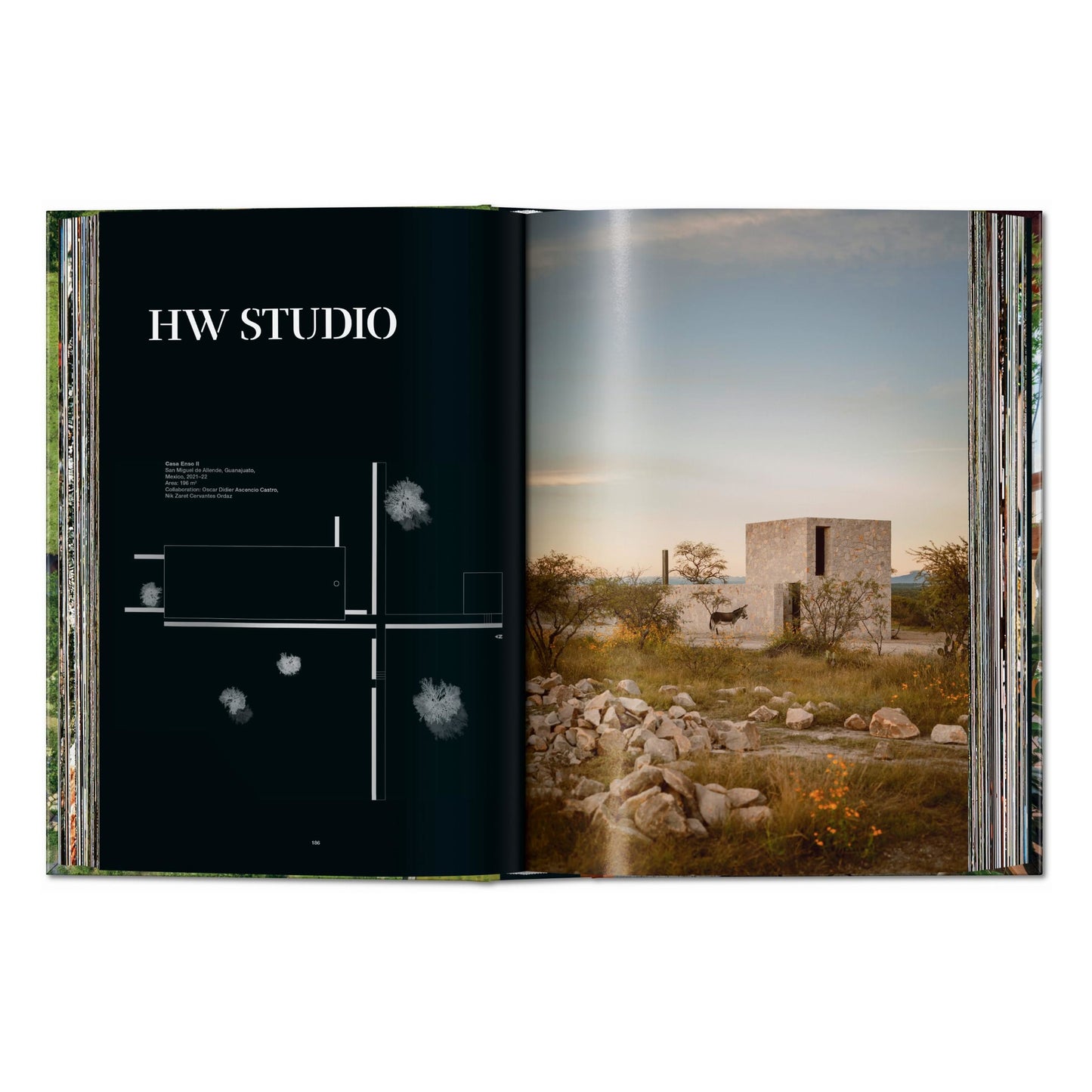 Homes for Our Time. Sustainable Living (German, French, English) Book