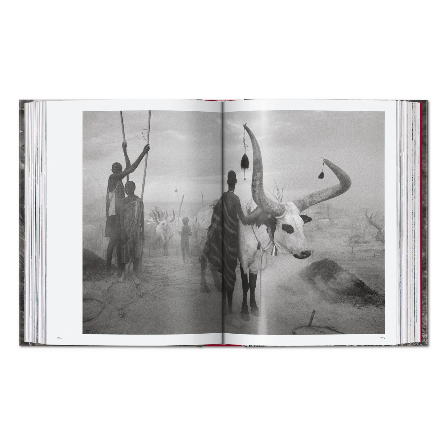 Sebastião Salgado. Genesis. 45th Ed. (English) Book