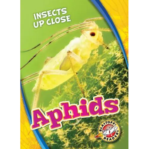 Aphids