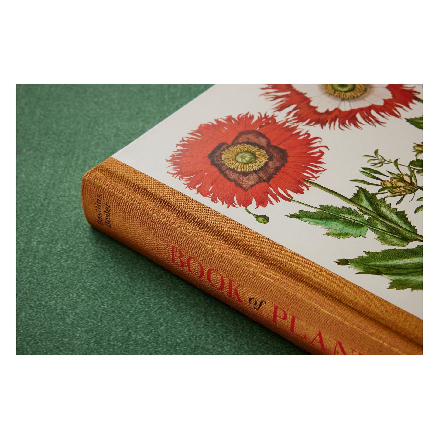 Basilius Besler. The Garden at Eichstätt (German, French, English) (FFE) Book