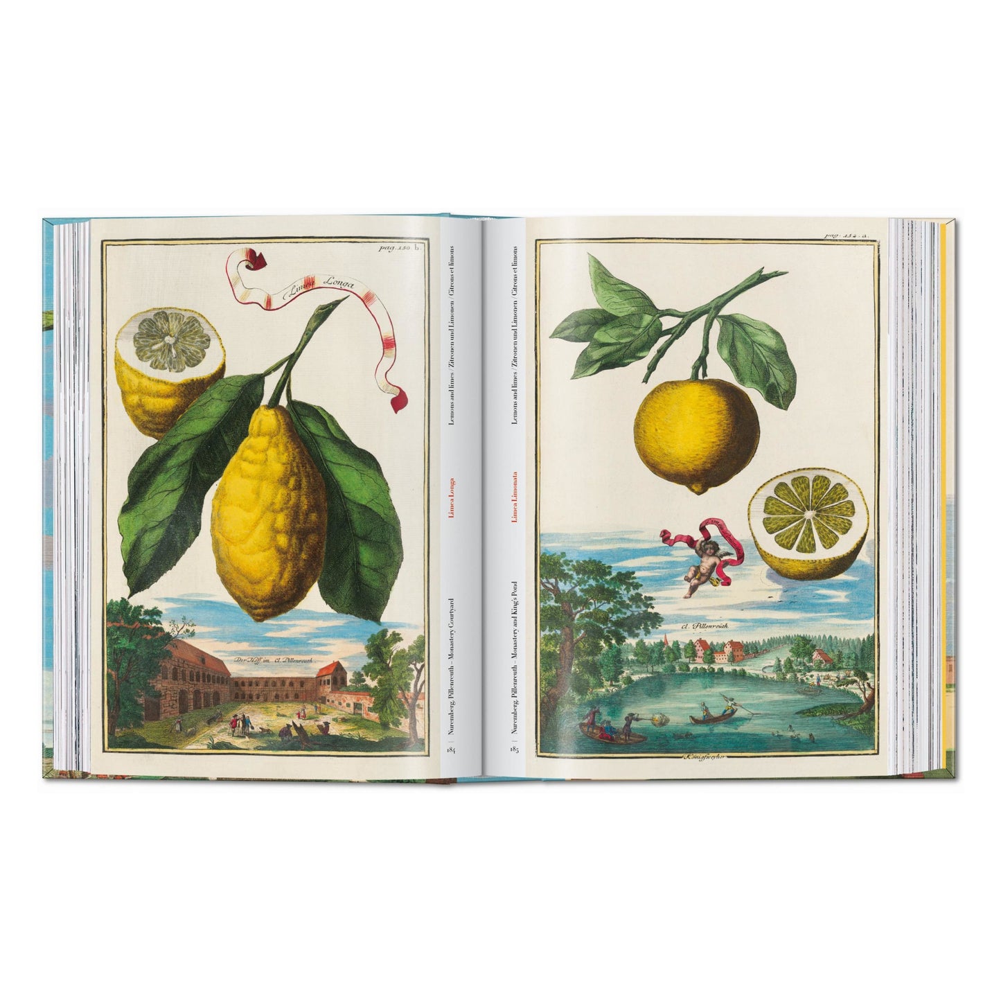 J. C. Volkamer. The Book of Citrus Fruits. 45th Ed. (German, French, English) Book