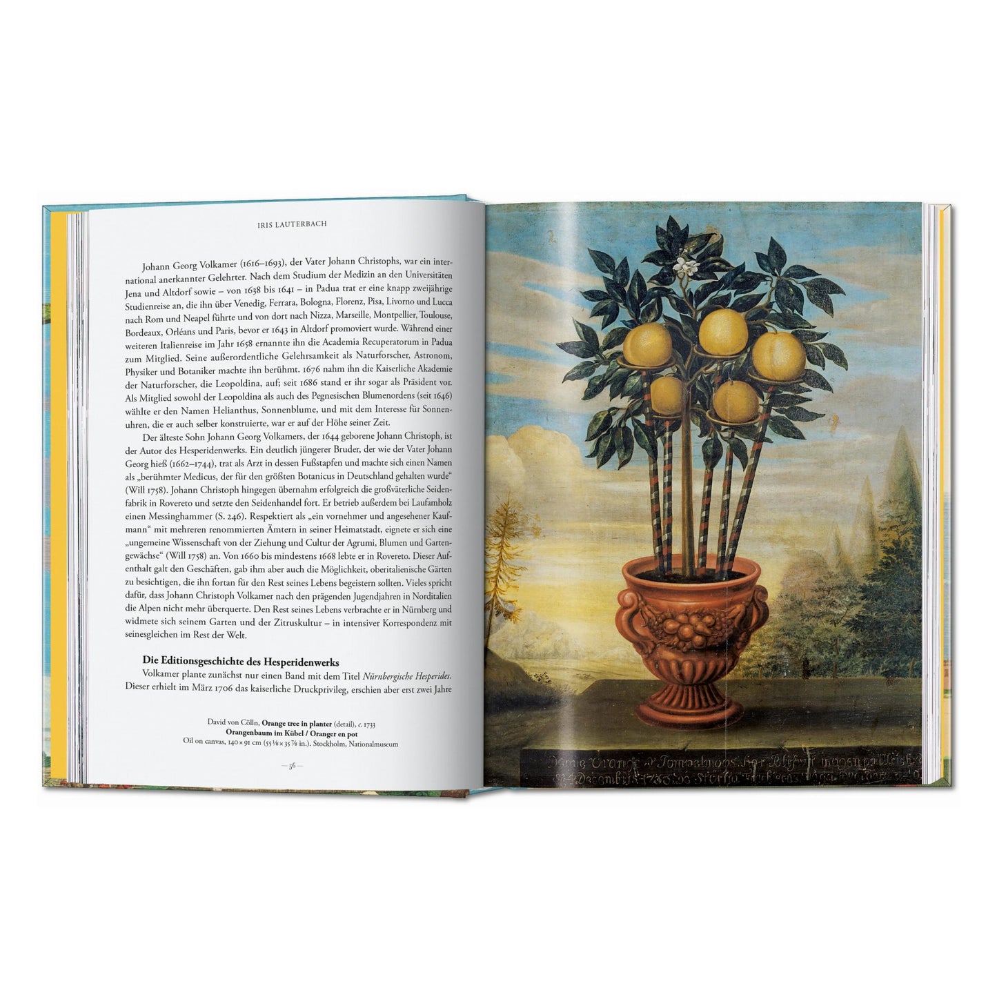 J. C. Volkamer. The Book of Citrus Fruits. 45th Ed. (German, French, English) Book