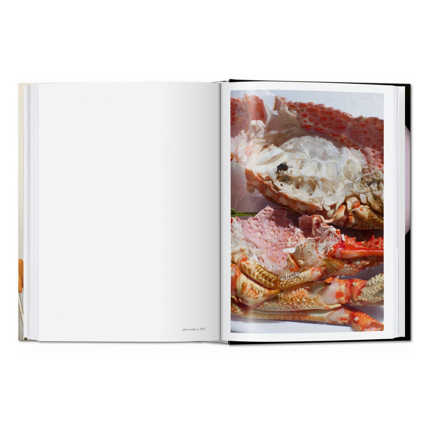 Wolfgang Tillmans. four books. 45th Ed. (English) Book