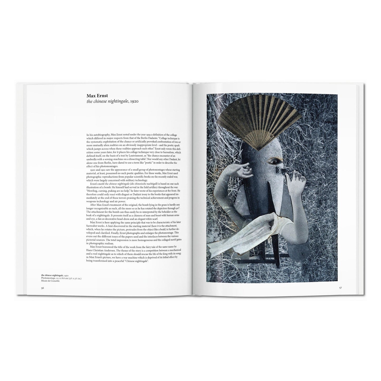 Dadaism (English) Book