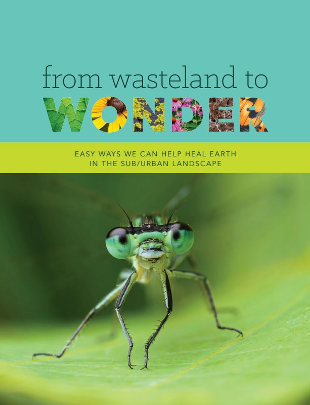 From Wasteland to Wonder: Easy Ways We Can Help Heal Earth in the Sub/Urban Landscape Book