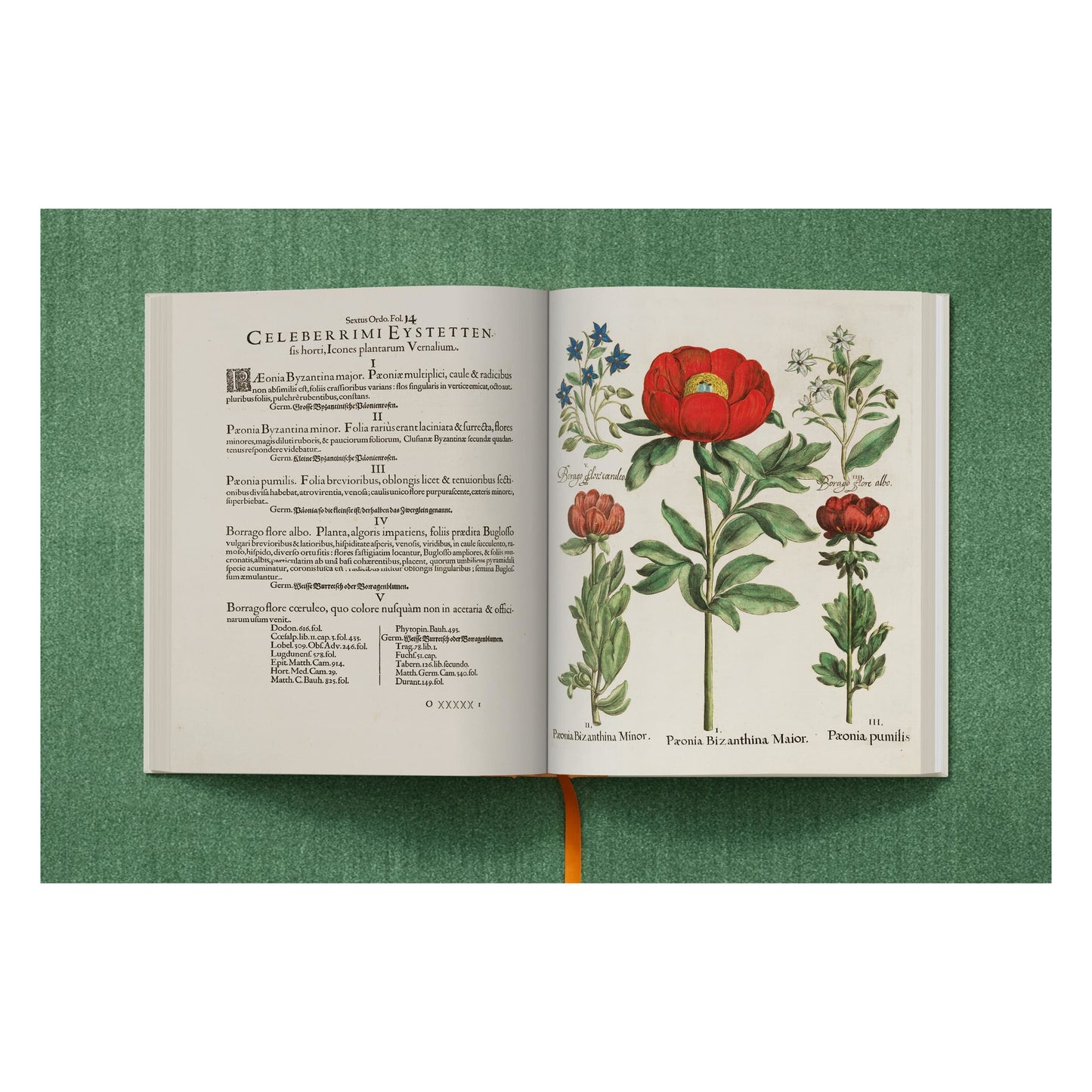 Basilius Besler. The Garden at Eichstätt (German, French, English) (FFE) Book