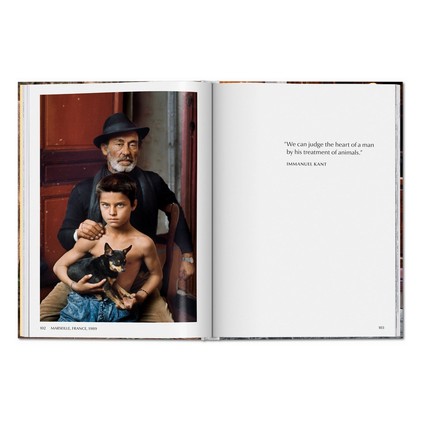 Steve McCurry. Animals (English) Book