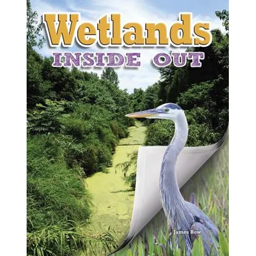 Wetlands Inside Out