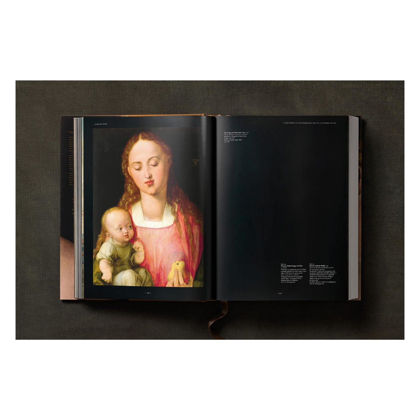 Albrecht Dürer. The Complete Paintings. Selected Drawings and Prints (English) Book