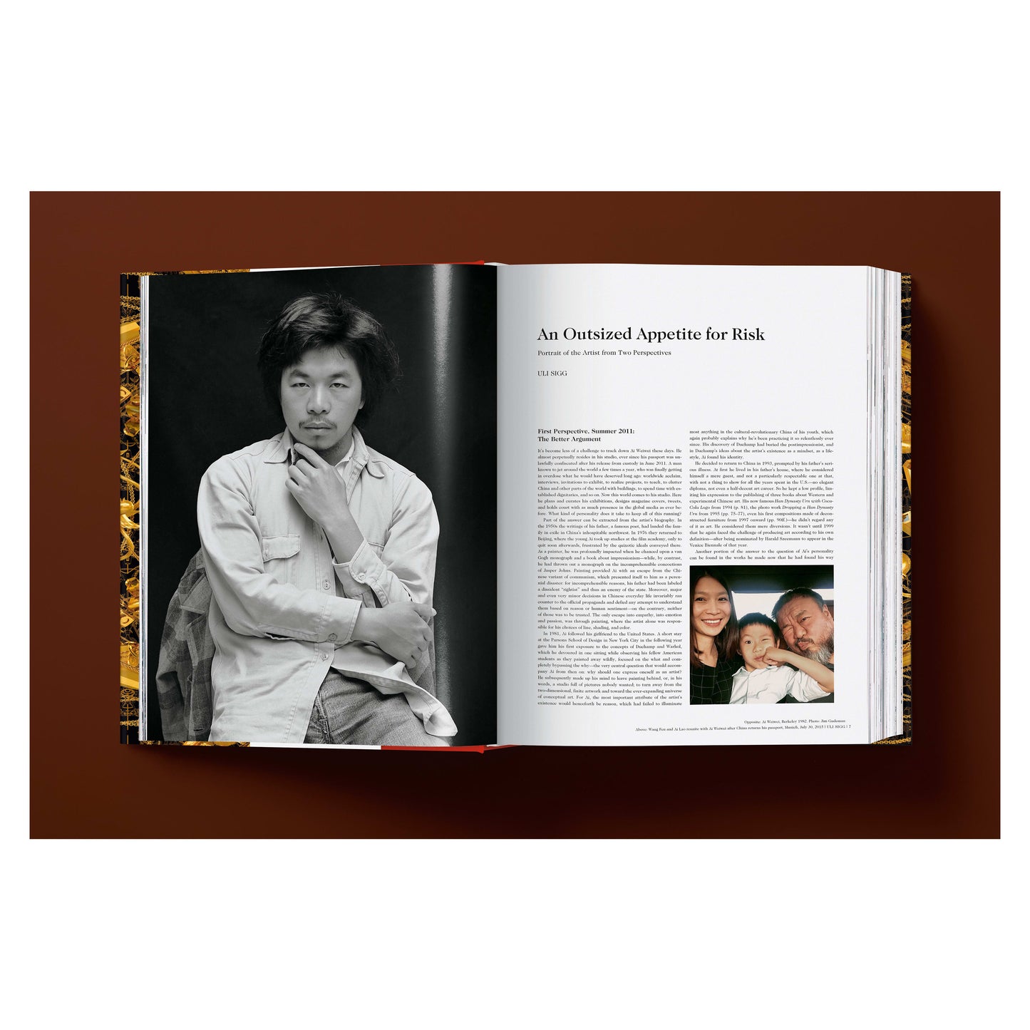 Ai Weiwei. Updated Edition (German, French, English) Book