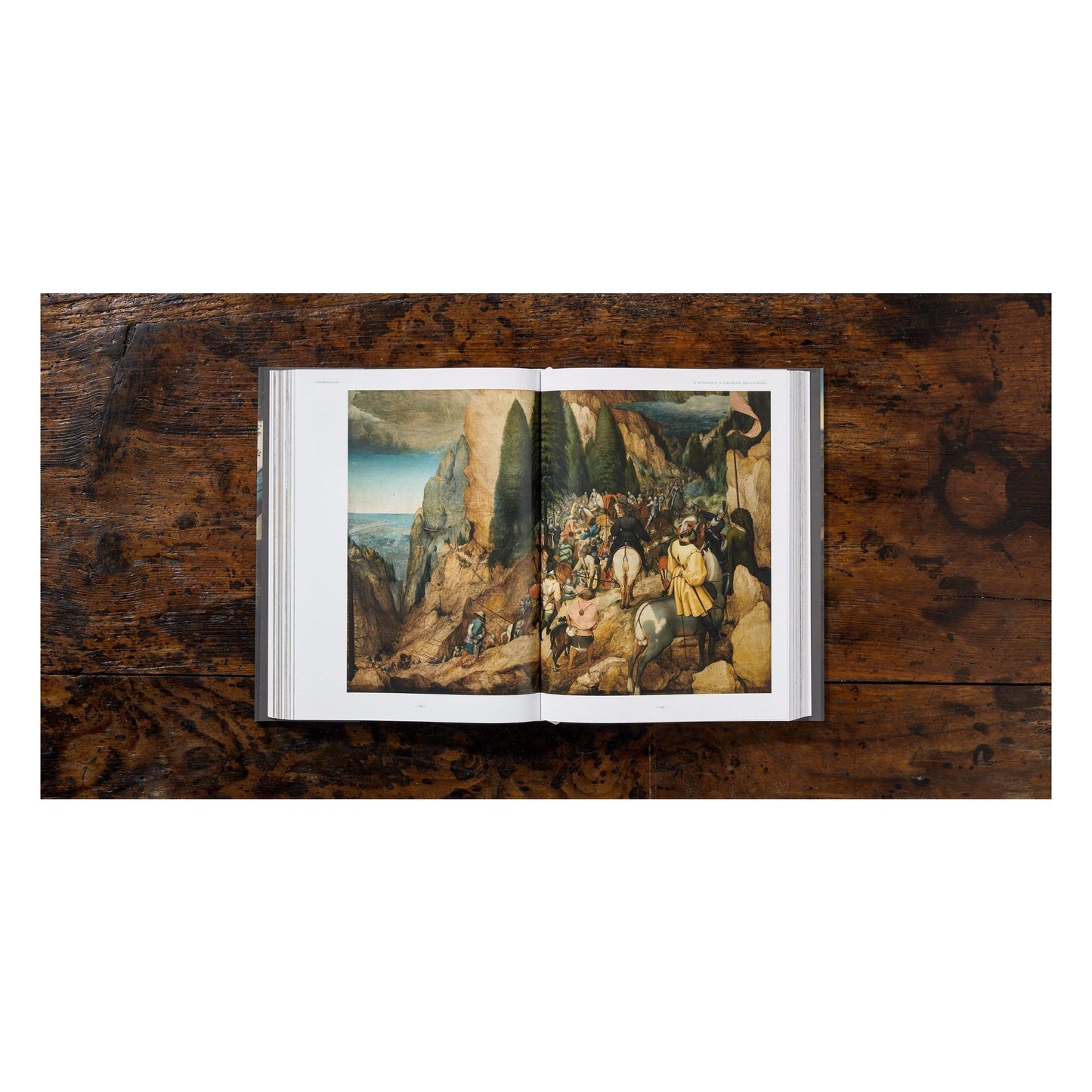 Bruegel. The Complete Works (English) Book