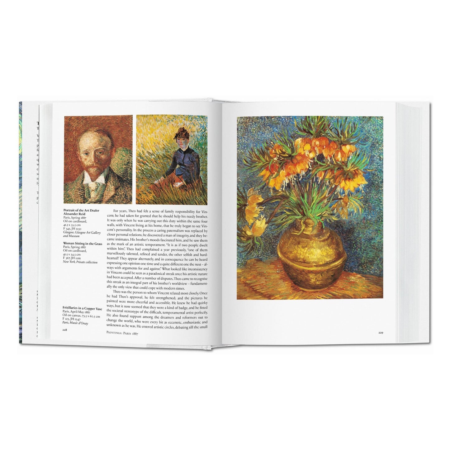 Van Gogh. The Complete Paintings (English) Book