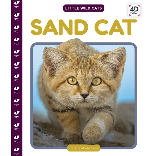 Sand Cat