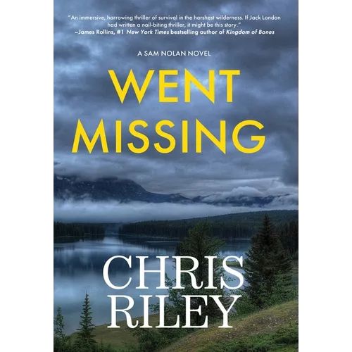 Went Missing: A Sam Nolan Novel
