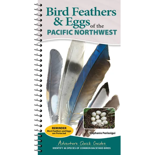 Bird Feathers & Eggs of the Pacific Northwest: Identify 40 Species of Common Backyard Birds
