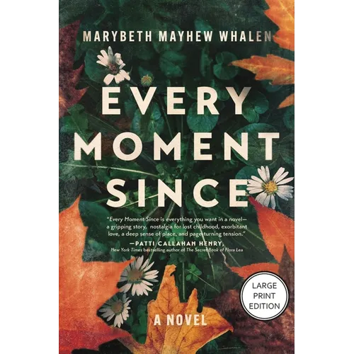 Every Moment Since: A Novel (HarperCollins Large Print)