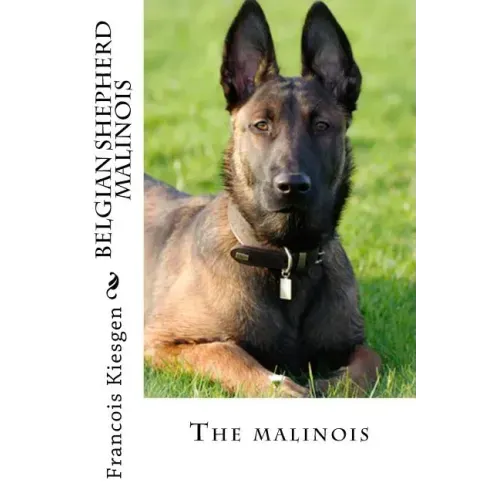 belgian shepherd malinois