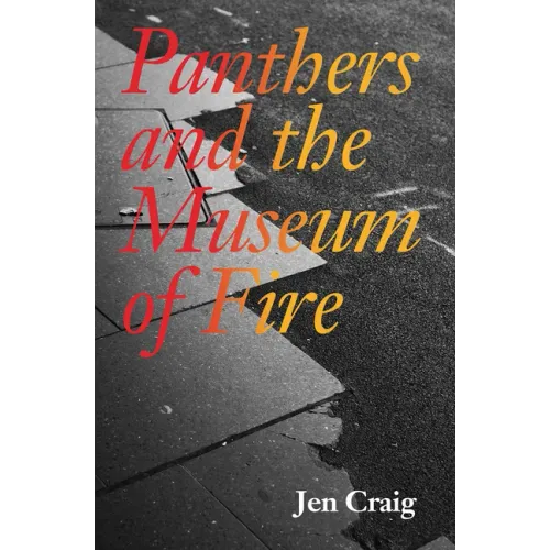 Panthers and the Museum of Fire