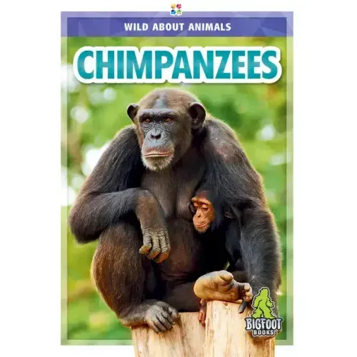 Chimpanzees