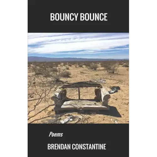 Bouncy Bounce