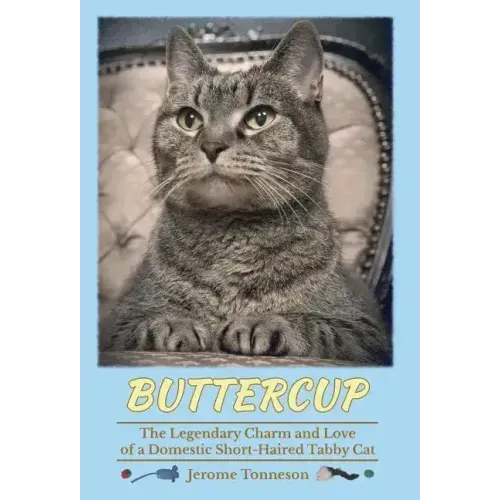 Buttercup - The Legendary Charm and Love of a Domestic Short-Haired Tabby Cat