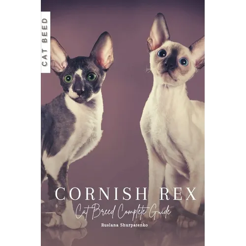 Cornish Rex: Cat Breed Complete Guide