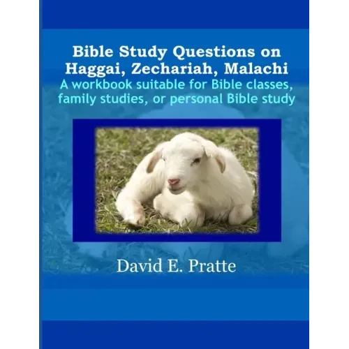 Bible Study Questions on Haggai, Zechariah, Malachi: A workbook suitable for Bible classes, family studies, or personal Bible study