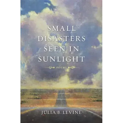 Small Disasters Seen in Sunlight