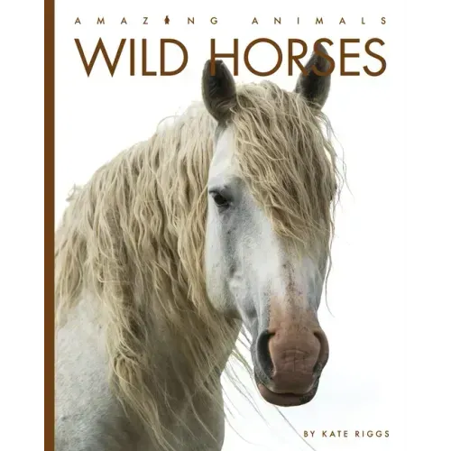 Wild Horses