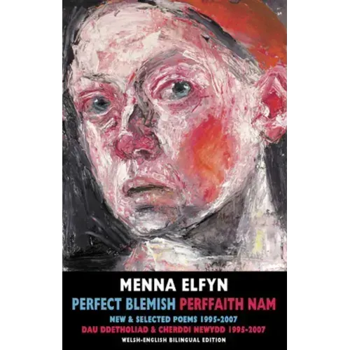 Perfect Blemish / Perffaith Nam: New & Selected Poems 1995-2007 / Dau Ddetholiad & Cherddi Newydd 1995-2007