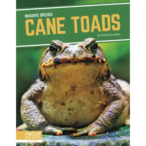 Cane Toads